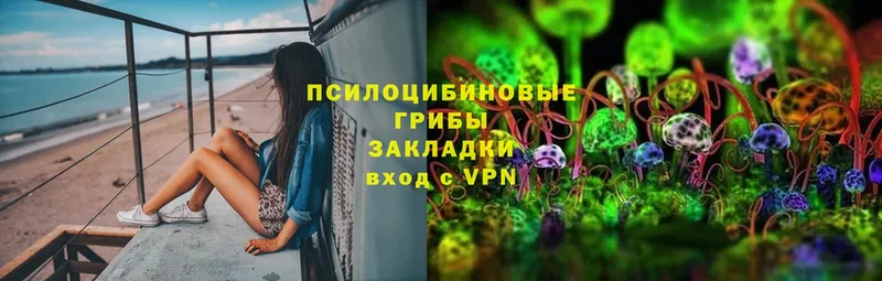 Где купить наркотики Чехов Alpha-PVP  МАРИХУАНА  Амфетамин  ГАШИШ  Меф мяу мяу 