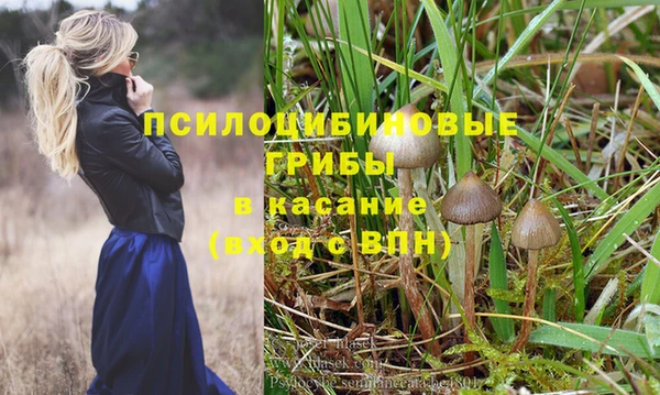 прущая мука Михайловск