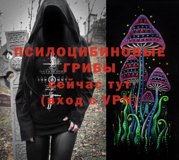 стафф Михайловка