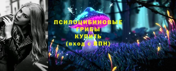 стафф Надым