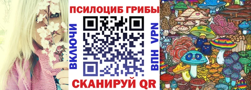 даркнет сайт  Чехов  Галлюциногенные грибы Cubensis 